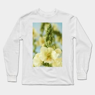 Verbascum x hybridum  &#39;Snow Maiden&#39;  Mullein Long Sleeve T-Shirt